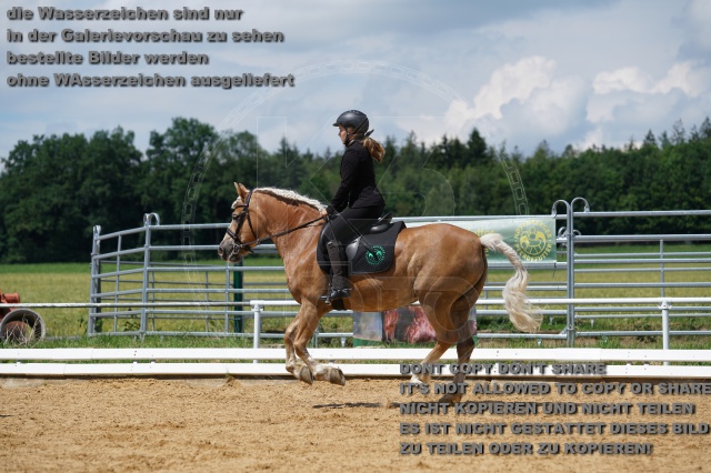 s_K3F04488.JPG